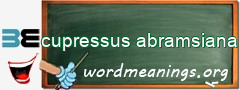 WordMeaning blackboard for cupressus abramsiana